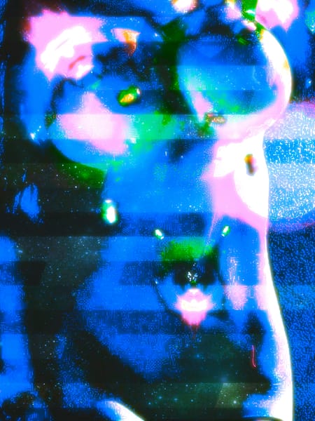 Cyber Venus 13